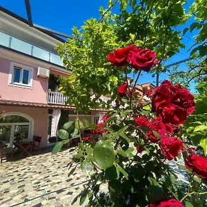 Tereza Novigrad Istria